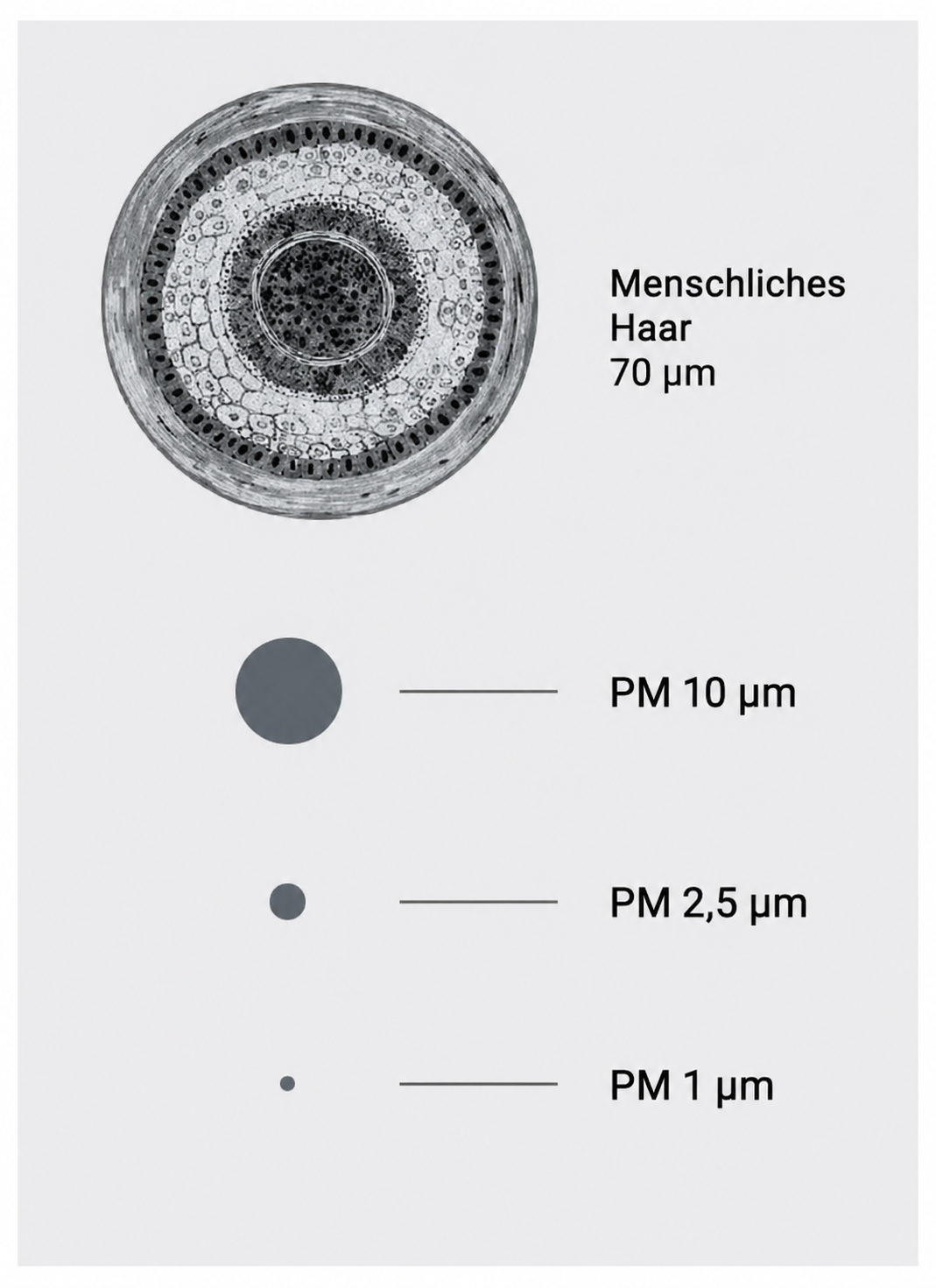 PM-Diagramm 2