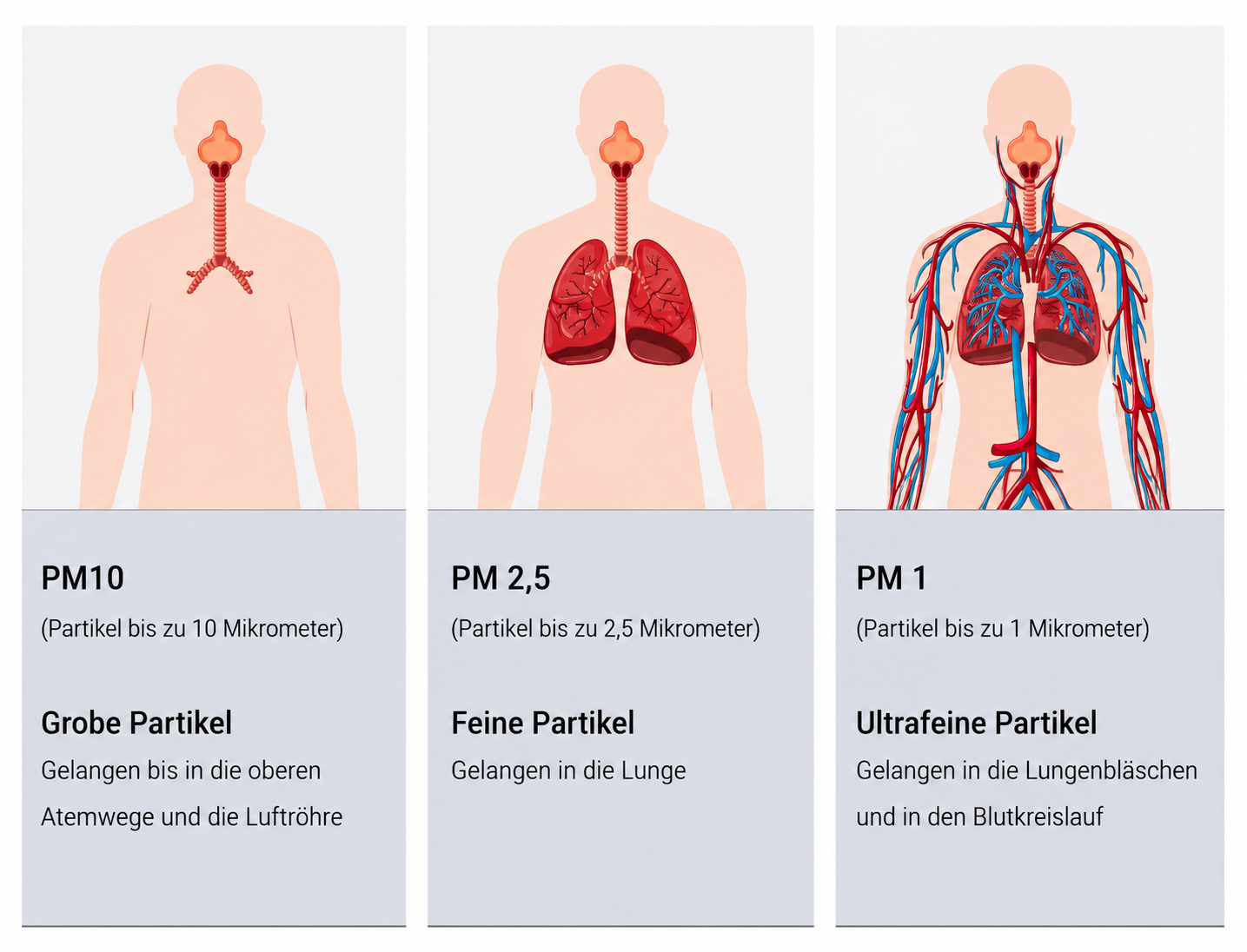 Grafik zur Luftverschmutzung